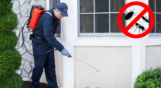 Esenler Gümüşkurt İlaçlama böcek ilaçlama ve haşere kontrolü — ilaclama-tr.com